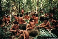 Les Yanomami. Publié le 21/12/11